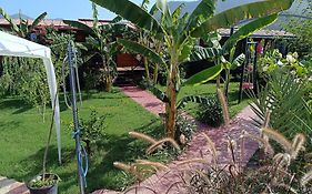 Arlin Bungalows